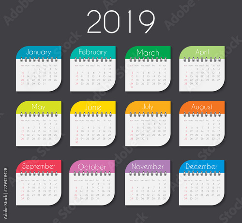 Colorful year 2019 calendar template. Vector Illustration