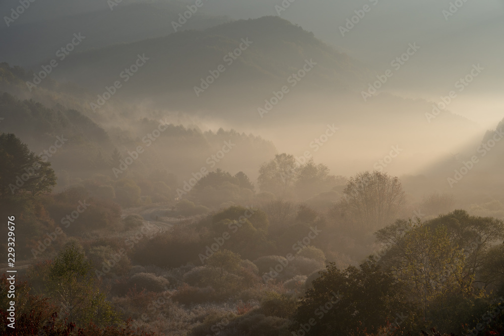 Obraz premium Autumn leaves and sea of clouds 