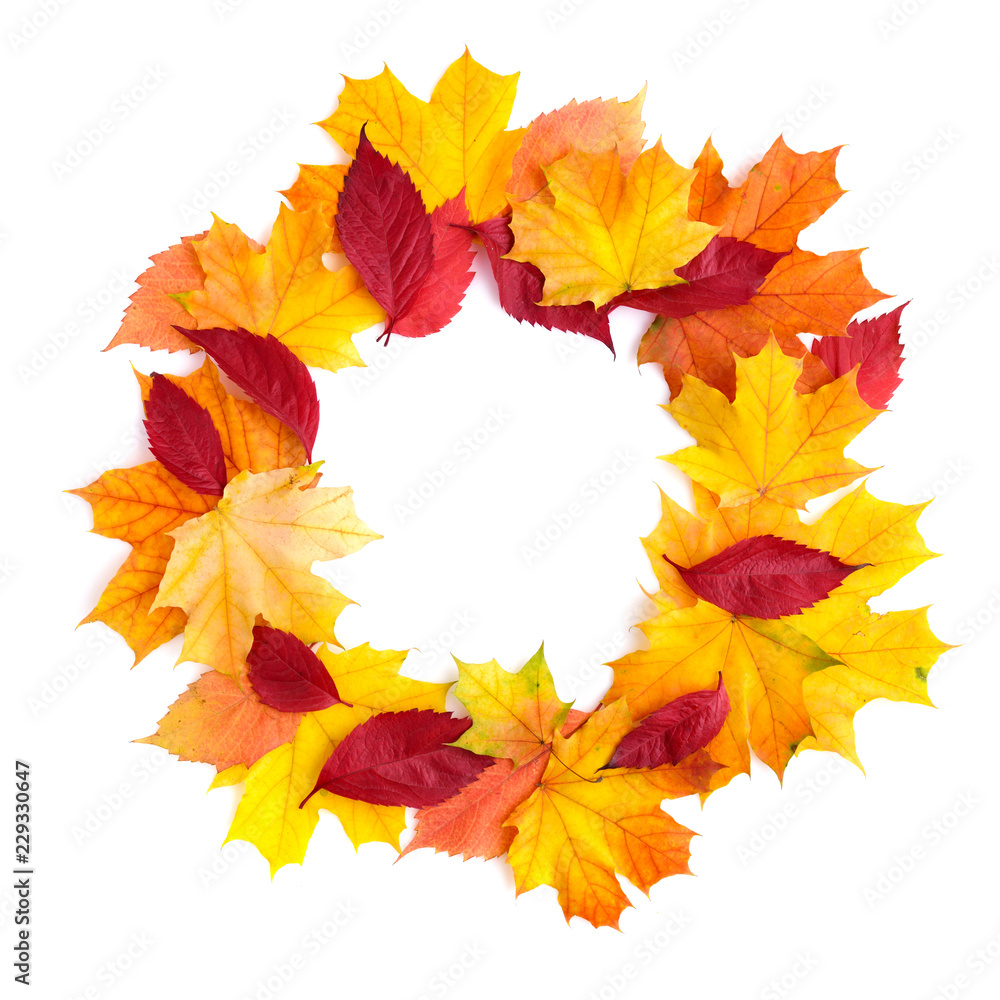Fototapeta premium Wreath of autumn leaves isolated on white background