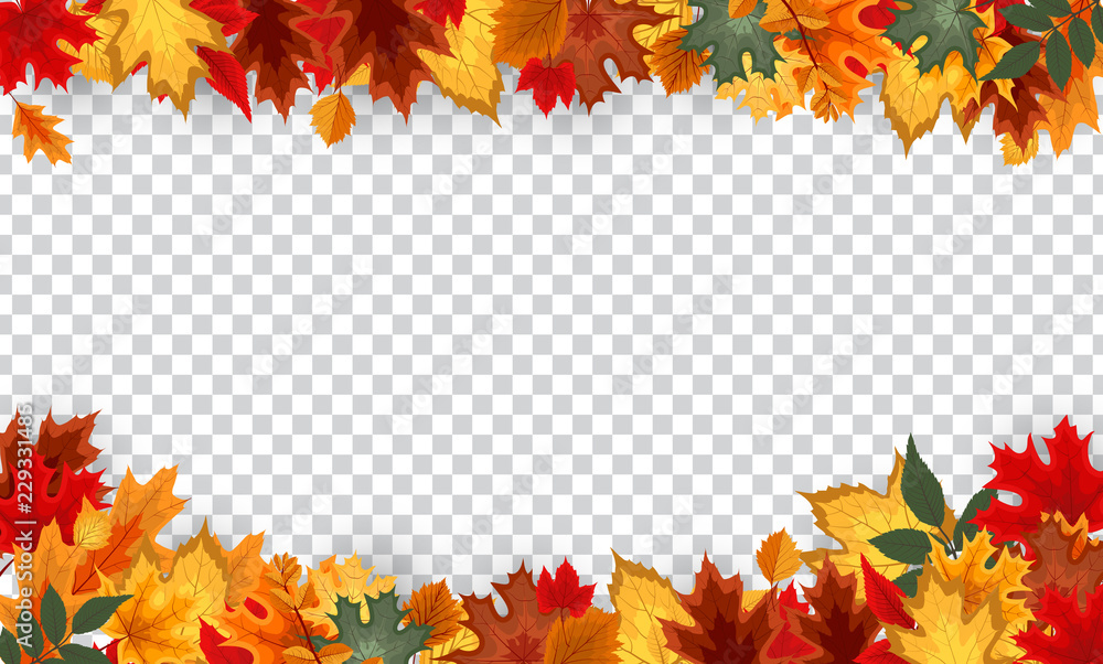 Autumn leaves  border frame with space text on transparent background. Can be used for thanksgiving, harvest holiday,  decoration and design. Vector Illustration