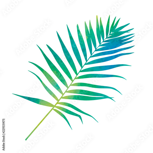 watercolor green silhouette palm leaf