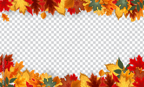 Autumn leaves  border frame with space text on transparent background. Can be used for thanksgiving  harvest holiday   decoration and design. Vector Illustration