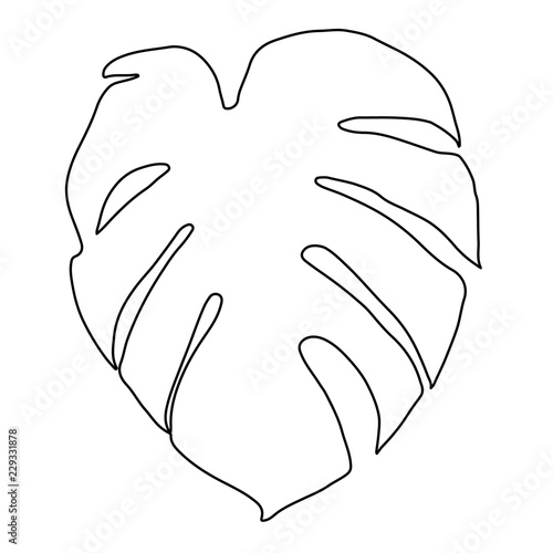 vector, isolated on a white background  outline palm leaf