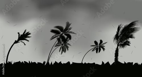 Palm trees during storm and hurricane. Leaves fly across the sky from a storm. Vector Illustration