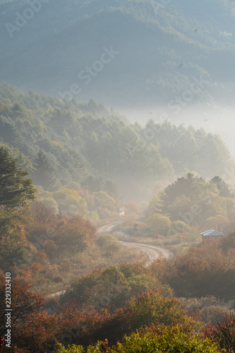 Autumn leaves and sea of clouds 