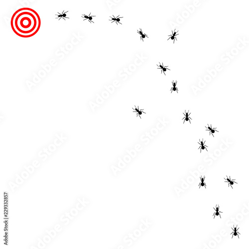 Ants trail vector