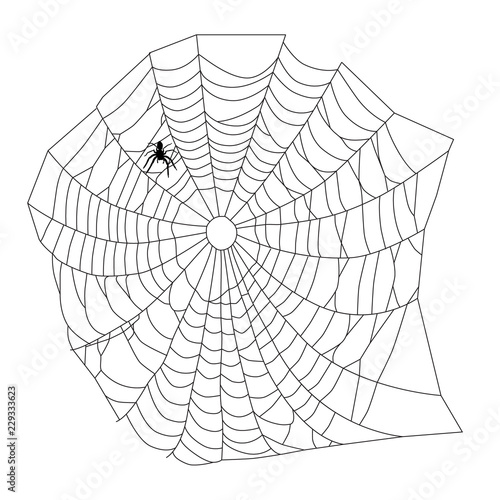 Halloween spider web