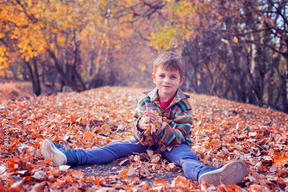 Cute boy with autumn leaves in golden forest Cute boy with autumn leaves in golden forest