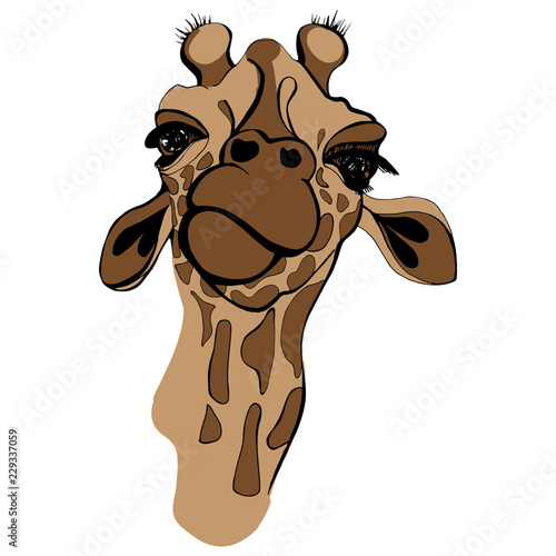 Giraffe vector illustration for t-shirt. Portrait of safari giraffe in funny glasses