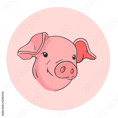 the head of a pig