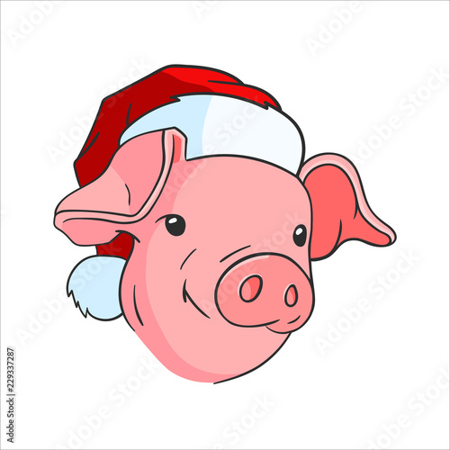 the pig in the hat