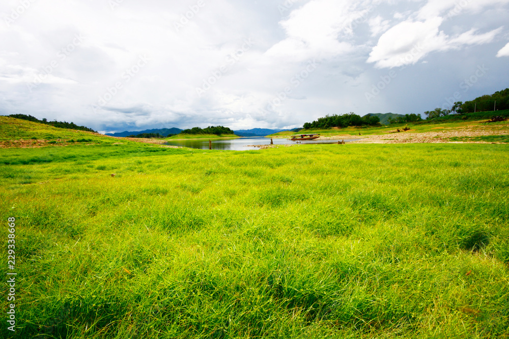 Landscape of Green Moss and meadow grass growing on cracked clay land near the lake in forest mountain at Thailand