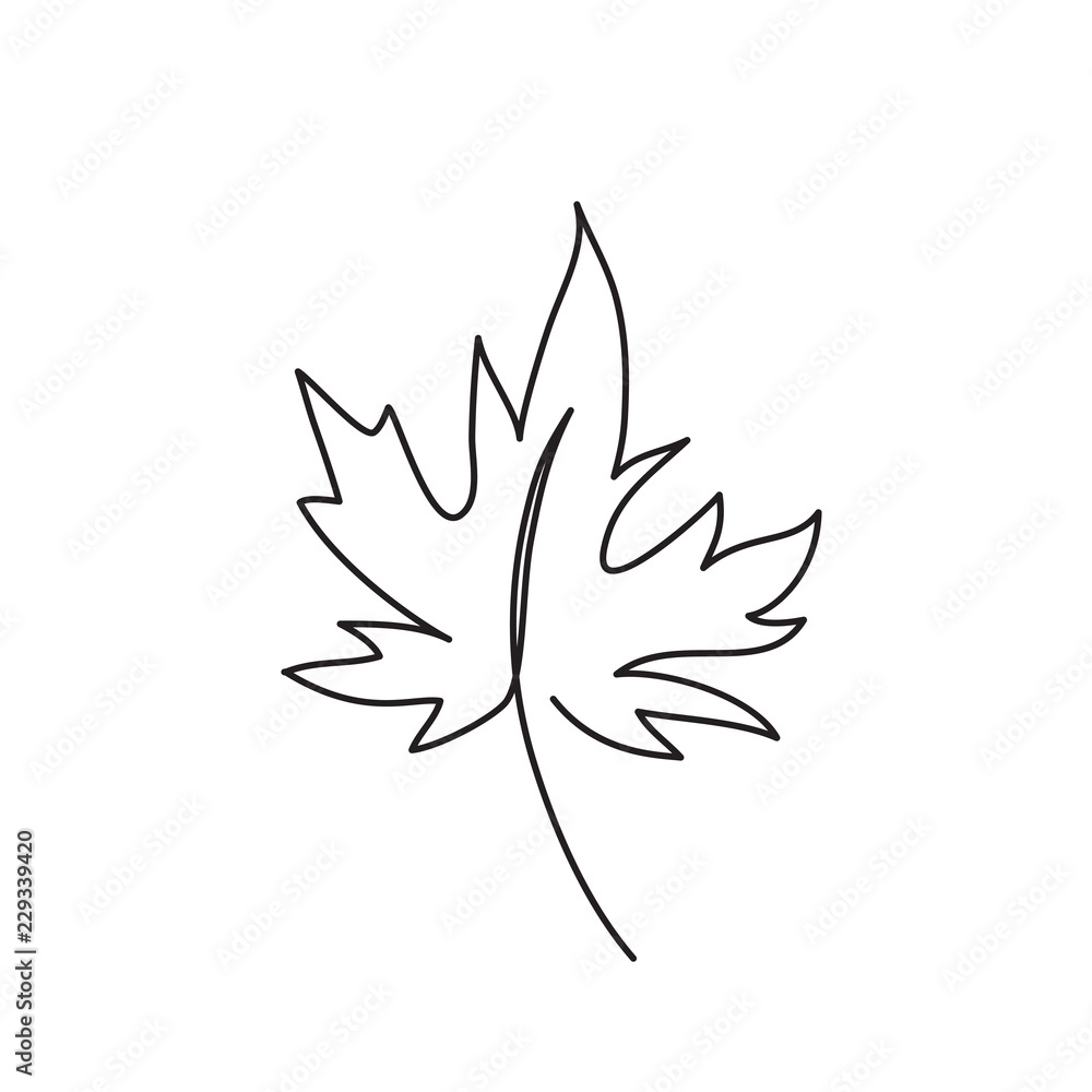 leaf line art