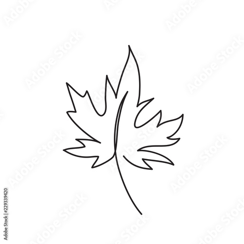 leaf line art