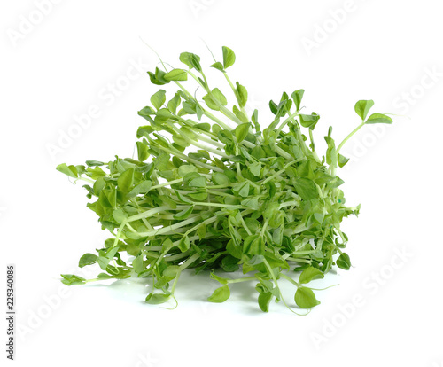 Pea Sprouts on White Background