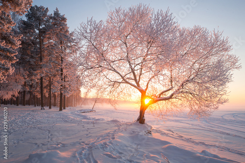 Winter landscape © alexugalek