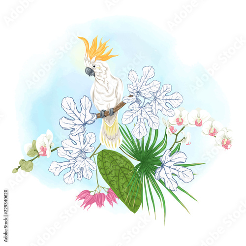 A composition of tropical plants, palm leaves