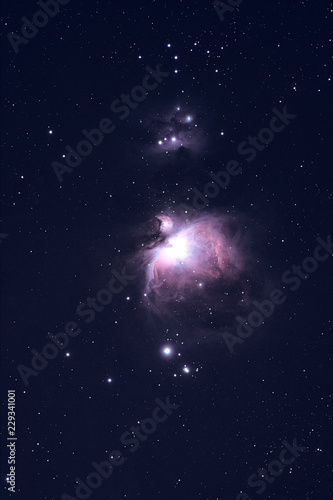 Fototapeta Naklejka Na Ścianę i Meble -  Milky Way stars photographed with astronomical telescope.