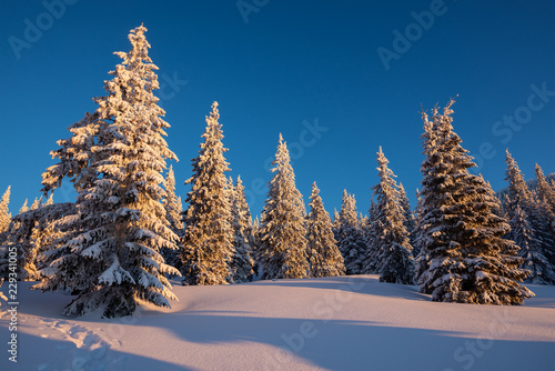 Magic sunrise in the winter mountains after snowfall © sanechka