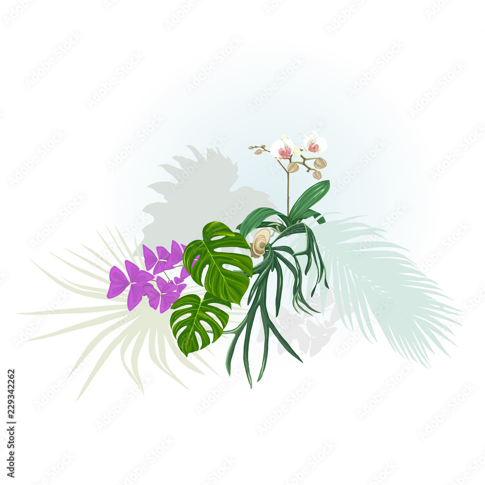Fototapeta Kompozycja roślin tropikalnych, liści palmowych