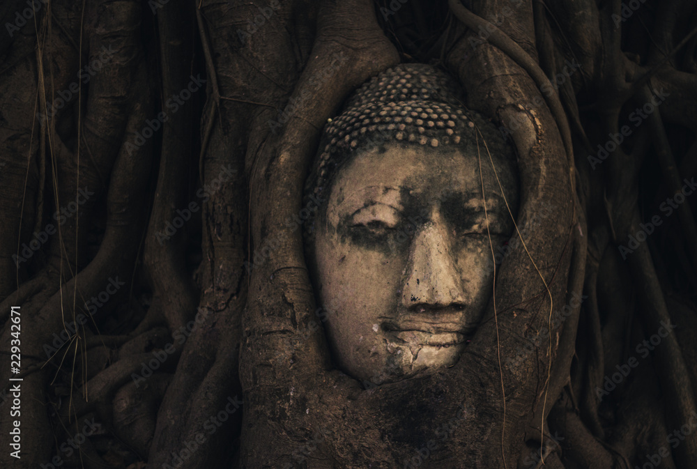 Ayutthaya Buddha's head  2, THAILAND