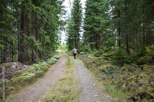 Walking in the woods © Birgitta