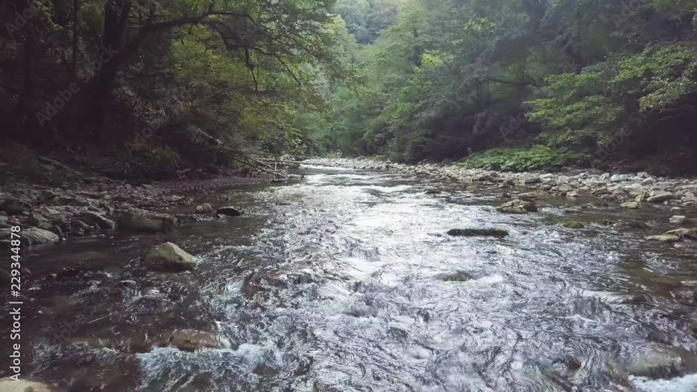 Aerial shooting from flying drone over stony river flowing in summer forest Aerial shooting from flying drone over stony river flowing in summer forest