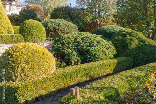 Cottage garden with topiary and trimmed bushes.