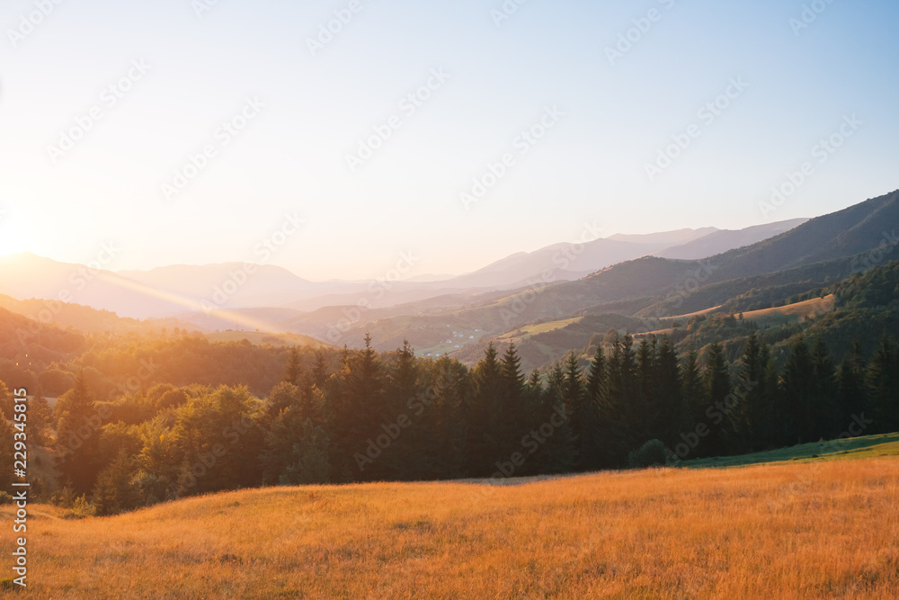 Stunning image of the bright valley in sunny beams.