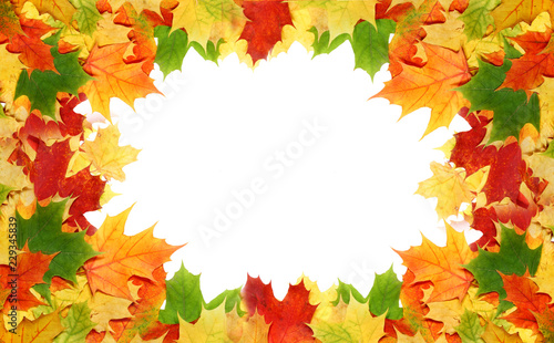 Frame with red and yellow maple leaves for your text.