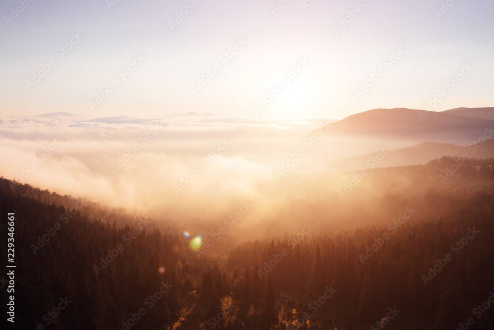 Scenic image of misty valley. Locations Carpathian national park, Ukraine. Scenic image of misty valley. Locations Carpathian national park, Ukraine.