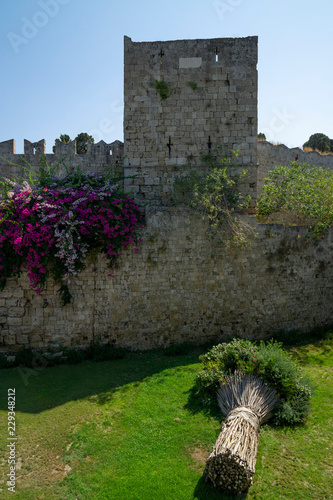 Old city wall and moat of Rhodes