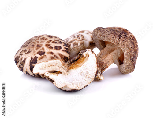 Dried shiitake mushroom on white
