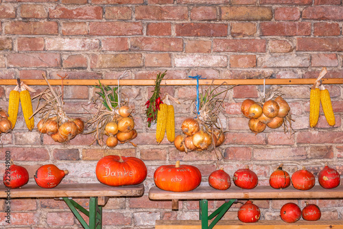 Maiskolben, Kürbisse, Zwiebeln, Knoblauch und roter Paprika vor einer Ziegelwand