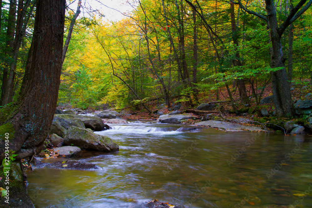 Swift Appalachian Mountain Steam In Autumn Swift Appalachian Mountain Steam In Autumn