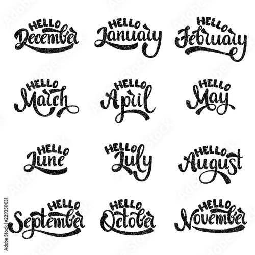 A Set Of Month Names Hello January February March April May June July August September October November December Handwritten Lettering Text Modern Calligraphy Vector Vector De Stock Adobe Stock