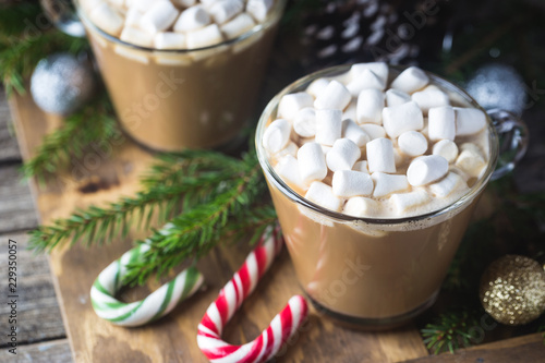 Cocoa with marshmallow photo