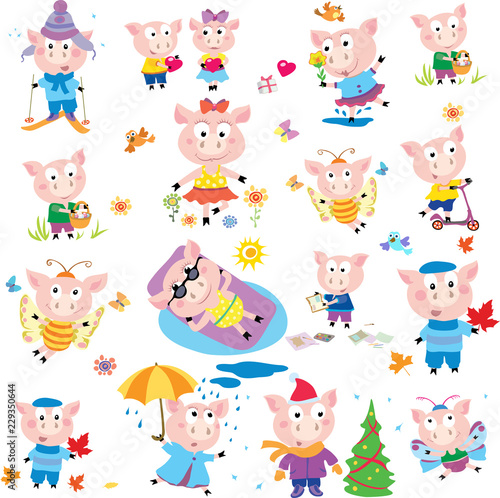 funny pig, images, color, stylized, pattern