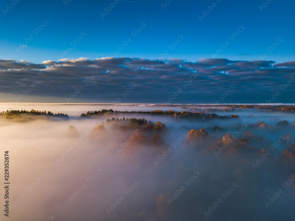 Obraz premium Aerial view of fog in Autumn, Lithuania