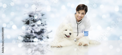 Fototapeta Naklejka Na Ścianę i Meble -  Merry Christmas from veterinary, vet clinic with veterinarian and dog pet, xmas tree background, gift card banner web template with copy space