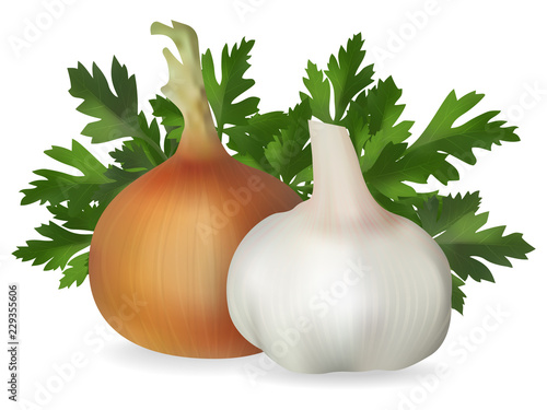 Onions, garlic and parsley. Isolated image. Realistic style. Vector illustration.