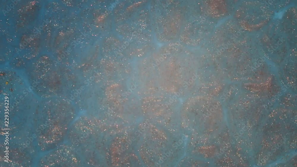 Metallic bronze and blue paints. The gurgling of a liquid substance. A real beautiful substance flows. Macro Metallic bronze and blue paints. The gurgling of a liquid substance. A real beautiful substance flows. Macro