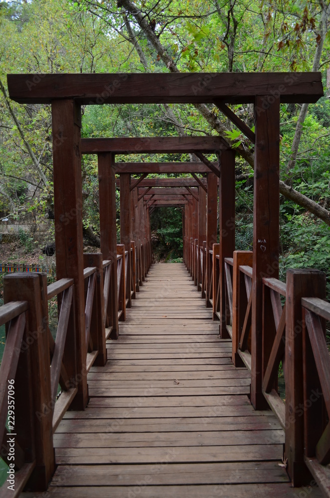 Obraz premium wooden bridge