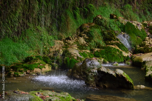 mountain stream in the forest