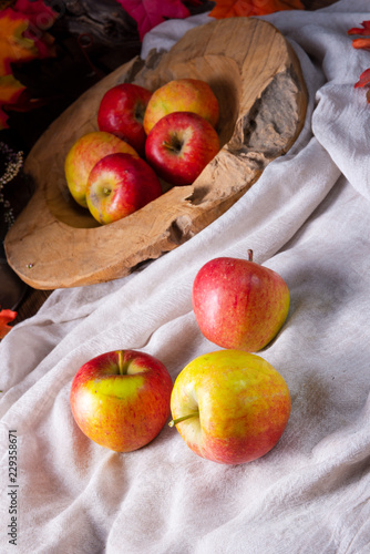 Malus sylvestris  the tasty European crab apple 