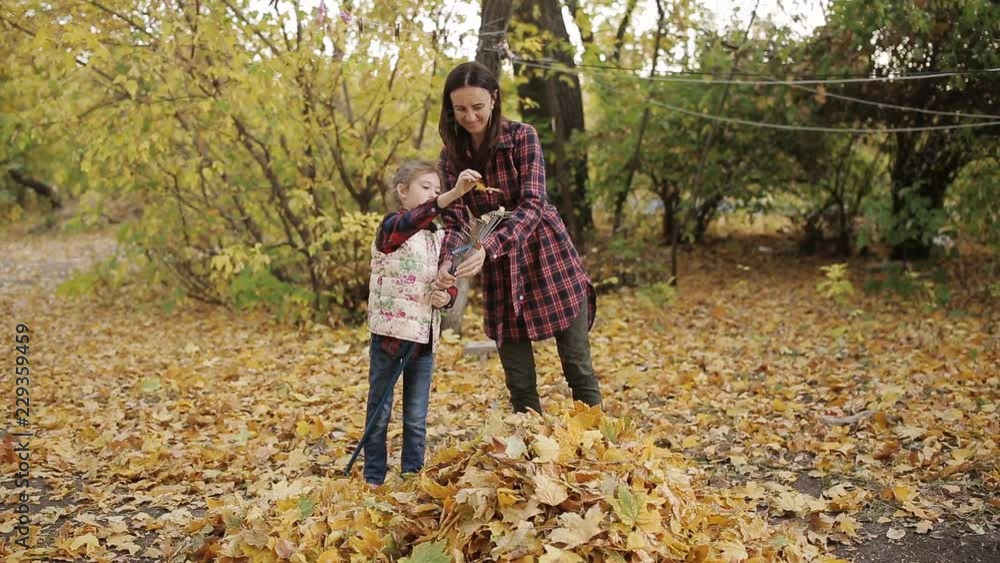 little girl helps mom clean yellow leaves in the yard with a rake little girl helps mom clean yellow leaves in the yard with a rake