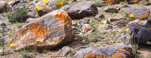 pile of stones covered with multi-colored moss. Dramatic tinting