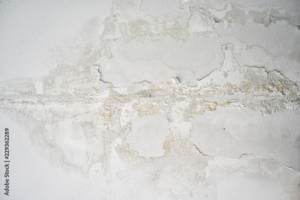 White wall fragment with scratches and cracks, grunge texture