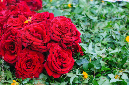 Bouquet of  roses on the leaves.