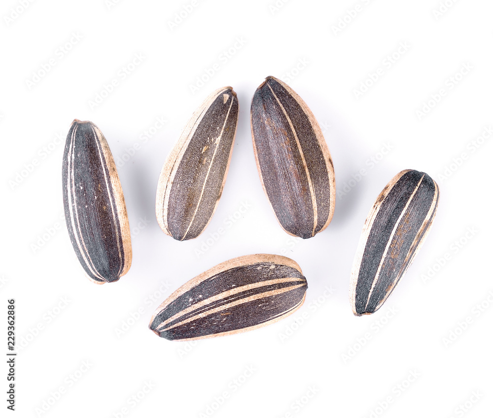 sunflower seeds on white background sunflower seeds on white background